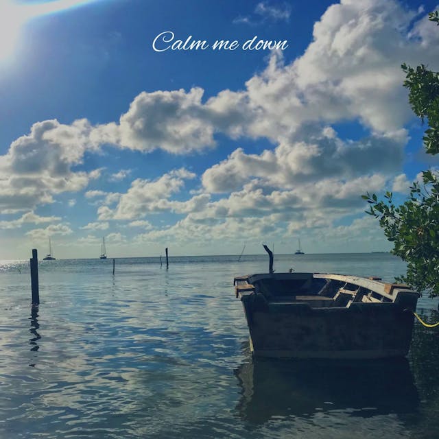 Experience pure tranquility with 'Calm Me Down' - a touching piano solo that will stir your emotions.