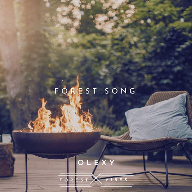 Forest Song is a heartfelt acoustic indie track featuring a female voice and sentimental guitar melodies.