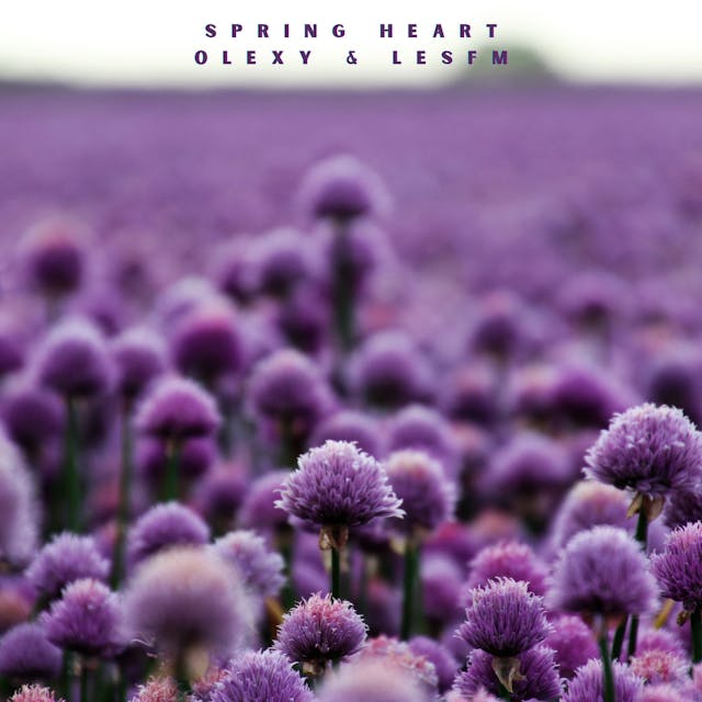 Feel the tender rhythms of 'Spring Heart' – an acoustic band melody brimming with sentiment and warmth.